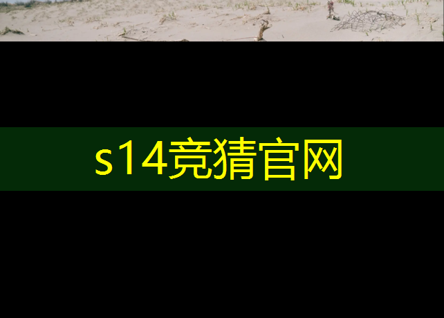 SG胜游官网：专业电竞手机壳华为加厚